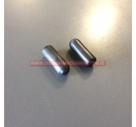 TERMINALI ASTA COFANO (2PZ) (SET)