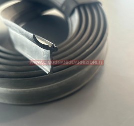 RASCHIAVETRO ESTERNO ANTERIORE E POSTERIORE DX/SX